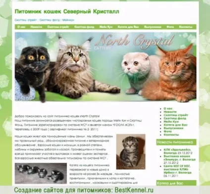Створення сайтів для розплідників, для тварин, для кішок і собак (собаки) Створення сайтів для розплідників, для тварин, для кішок і собак