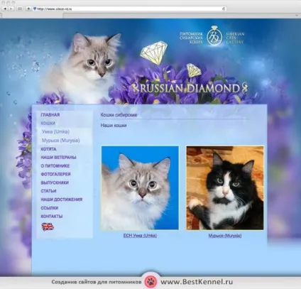 Створення сайтів для розплідників, для тварин, для кішок і собак (клубів) Створення сайтів для розплідників, для тварин, для кішок і собак