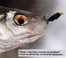 Статті про зимову рибалку ловля плотви на волохаті блешні проводка волохатою блешні тактика лову (потрібно) Статті про зимову рибалку ловля плотви на волохаті блешні проводка волохатою блешні тактика лову