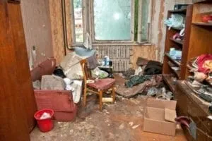 Засоби від молі в квартирі ефективна добірка (кошти) Засоби від молі в квартирі ефективна добірка