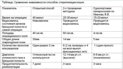 Стерилізація кішок - наскільки необхідна плюси і мінуси процедури, поширені міфи (кішок) Стерилізація кішок - наскільки необхідна плюси і мінуси процедури, поширені міфи