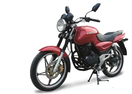 Stels flame 200 (стелс флейм 200) характеристики, фото