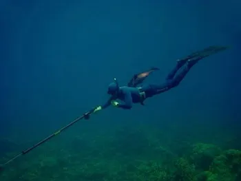 Підводне полювання