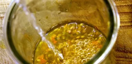 Помідори в теплиці для початківців від а до я (початківців) Помідори в теплиці для початківців від а до я