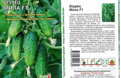 Посадка огірків насінням в теплиці кращі парники які самі, посадити голландські, садити для (огірків) Посадка огірків насінням в теплиці кращі парники які самі, посадити голландські, садити для