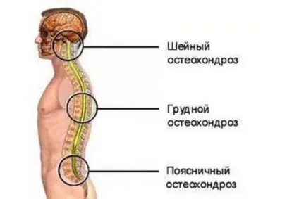 Подушка для шиї в машину для водіїв, ортопедичні подушки в автомобіль (подушки) Подушка для шиї в машину для водіїв, ортопедичні подушки в автомобіль