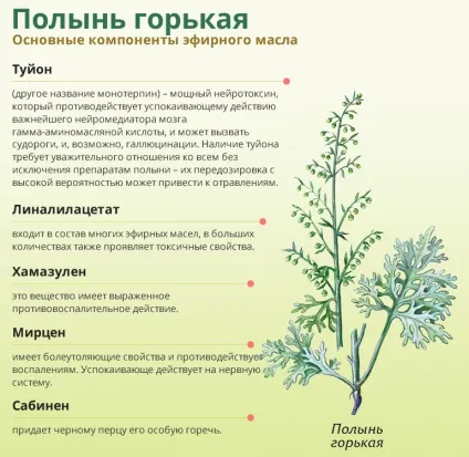 Полин гіркий ефірне масло застосування (гірка) Полин гіркий ефірне масло застосування