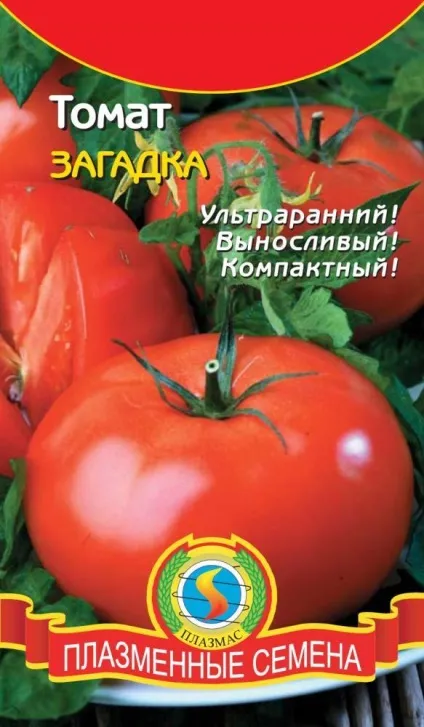 Помідори сорт загадка відгуки