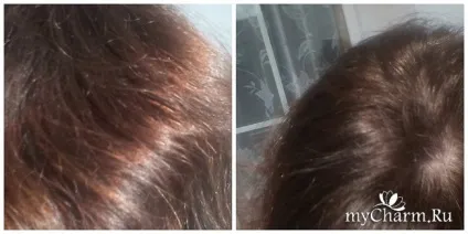 Стійкий колір від garnier fructis - garnier fructis стійкий колір ефект свіжого фарбування (стійкий) Стійкий колір від garnier fructis - garnier fructis стійкий колір ефект свіжого фарбування