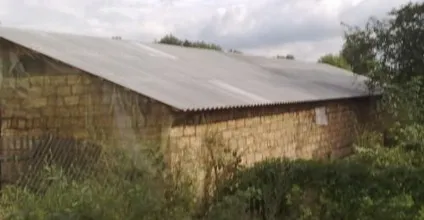 Будівництво свинарника своїми руками (свинарник) Будівництво свинарника своїми руками