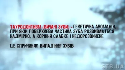 Будова зубів людини і найпоширеніші захворювання порожнини рота