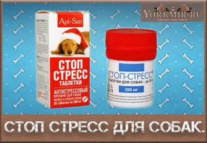 Стоп стрес для собак, інструкція із застосування (собак) Стоп стрес для собак, інструкція із застосування