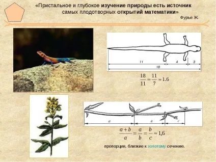 Будівництво по сажням - Черняєв а (сажням) Будівництво по сажням - Черняєв а