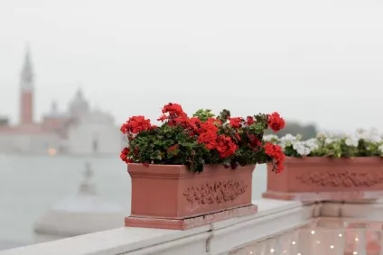 Весілля в Венеції - wedding dettagli - весілля в італії, весілля в Венеції, вінчання в італії,