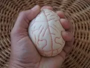Так звідки беруться неврози (звідки) Так звідки беруться неврози