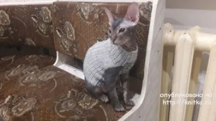Светр для кота спицями