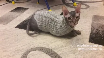 Светр для кота спицями