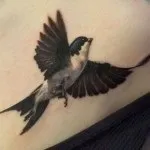 Тату ластівка значення, фото і ескізи (ластівка) Тату ластівка значення, фото і ескізи