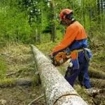 Візки на колесах до 100 кг вибір, цілі застосування і рекомендації по їх використанню (моделі і застосування візків на колесах до 100 кг) Візки на колесах до 100 кг вибір, цілі застосування і рекомендації по їх використанню