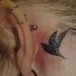 Тату ластівка значення, фото і ескізи (ластівка) Тату ластівка значення, фото і ескізи