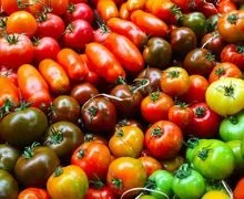 Таємниця за лаймом як laimon fresh став найуспішнішим новим брендом газованої води, бізнес (таємниця) Таємниця за лаймом як laimon fresh став найуспішнішим новим брендом газованої води, бізнес