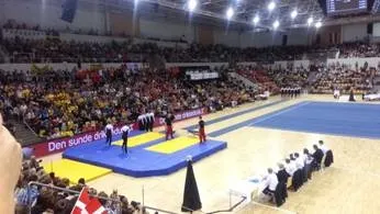 Team gym - спортшкола trefoil (gym) Team gym - спортшкола trefoil