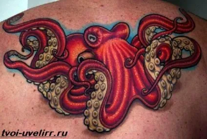тату восьминіг