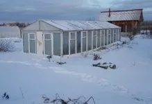 Теплиця з віконних рам своїми руками зі старих рам зробити парник, відео та фото, з пластикових (своїми) Теплиця з віконних рам своїми руками зі старих рам зробити парник, відео та фото, з пластикових