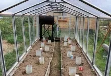 Теплиця з віконних рам своїми руками зі старих рам зробити парник, відео та фото, з пластикових (своїми) Теплиця з віконних рам своїми руками зі старих рам зробити парник, відео та фото, з пластикових