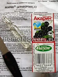 Попелиця - кімнатні квіти і рослини на (квіти) Попелиця - кімнатні квіти і рослини на