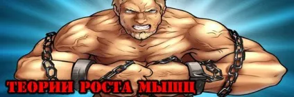 Теорії зростання м'язів (ростуть наші м'язи) Теорії зростання м'язів