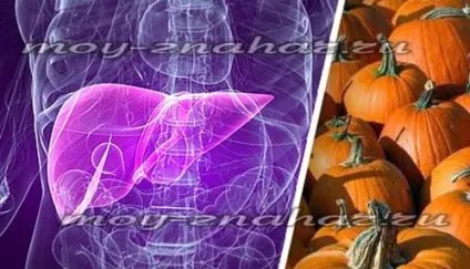 Гарбуз з медом для лікування і очищення печінки (медом) Гарбуз з медом для лікування і очищення печінки