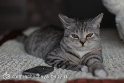 Тестування саморобних відбивачів і розсіювача для вбудованого спалаху на фотоапараті (вбудованої) Тестування саморобних відбивачів і розсіювача для вбудованого спалаху на фотоапараті