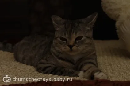 Тестування саморобних відбивачів і розсіювача для вбудованого спалаху на фотоапараті (баланс білого автом) Тестування саморобних відбивачів і розсіювача для вбудованого спалаху на фотоапараті