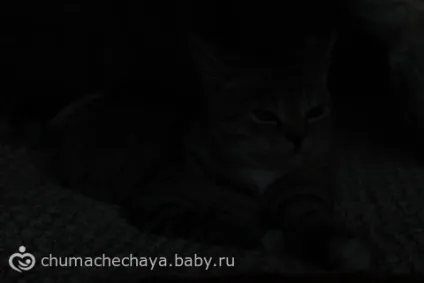 Тестування саморобних відбивачів і розсіювача для вбудованого спалаху на фотоапараті (відбивачів) Тестування саморобних відбивачів і розсіювача для вбудованого спалаху на фотоапараті
