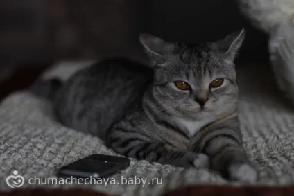 Тестування саморобних відбивачів і розсіювача для вбудованого спалаху на фотоапараті (спалаху) Тестування саморобних відбивачів і розсіювача для вбудованого спалаху на фотоапараті