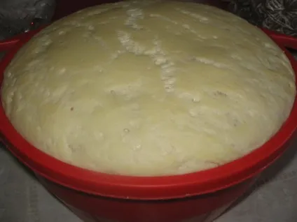 Тісто для біляшів з сухими дріжджами рецепти з фото крок за кроком (швидке тісто на біляші на сухих дріжджах) Тісто для біляшів з сухими дріжджами рецепти з фото крок за кроком
