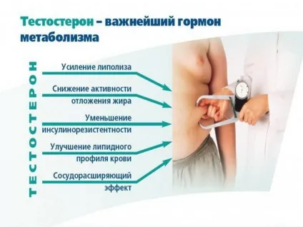 Тестостерон в таблетках які вибрати способи вживання