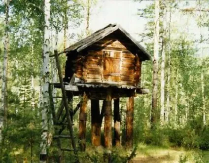 Тепловізор своїми руками для полювання (полювання) Тепловізор своїми руками для полювання