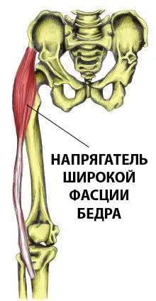 Тренування колін