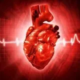Вчені з'ясували, від чого помирає третина жителів землі - суть подій (вчені) Вчені з'ясували, від чого помирає третина жителів землі - суть подій