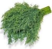 Кріп, алергія, медичне і народне лікування алергії