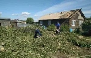 Вчені встановили, чи безпечно розігрівати їжу в мікрохвильовці