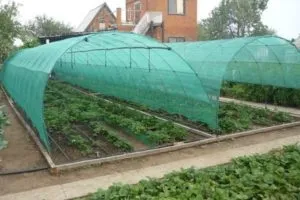 Укривочний фасадна будівельна сітка види, кріплення, область застосування (укривочний) Укривочний фасадна будівельна сітка види, кріплення, область застосування