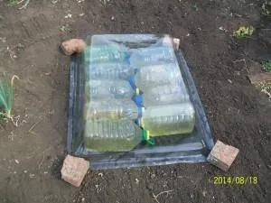 Розумні агропанелі типи агропанелей і мобільних мініпарніков - розумні агропанелі (типи) Розумні агропанелі типи агропанелей і мобільних мініпарніков - розумні агропанелі