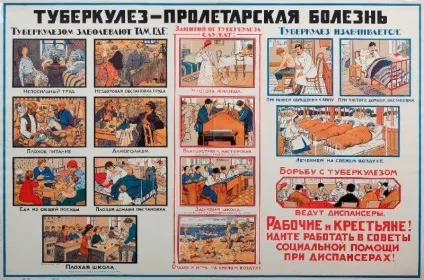 Видалення холестеринових бляшок на століттях - лікування серця (лікування народними засобами) Видалення холестеринових бляшок на століттях - лікування серця