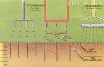 Догляд за газоном вичісування, аерація, підгодівля, мульчування, стрижка (газоном) Догляд за газоном вичісування, аерація, підгодівля, мульчування, стрижка