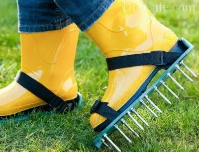 Догляд за газоном вичісування, аерація, підгодівля, мульчування, стрижка (вичісування) Догляд за газоном вичісування, аерація, підгодівля, мульчування, стрижка
