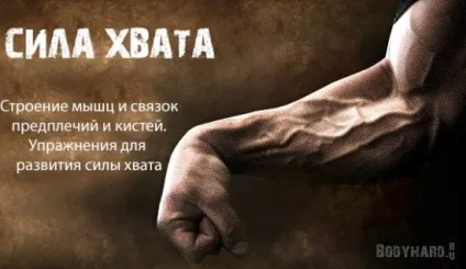 Збільшуємо силу хвата