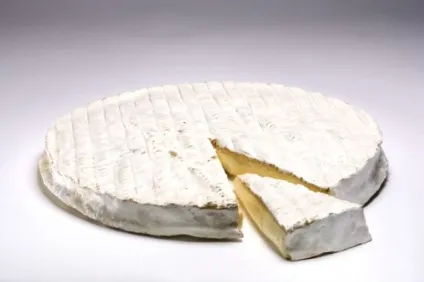 У чому відмінність сиру камамбера від брі - що таке брі - продукти харчування (відміну сиру камамбера) У чому відмінність сиру камамбера від брі - що таке брі - продукти харчування